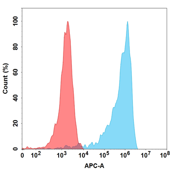 M-CSF Antibody