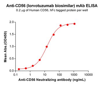 CD56 Antibody