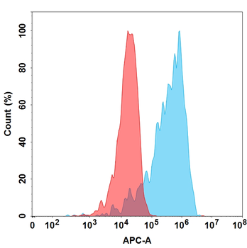 CD56 Antibody