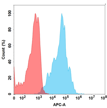 CEACAM6 Antibody