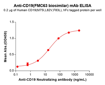 CD19 Antibody