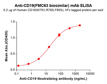 CD19 Antibody