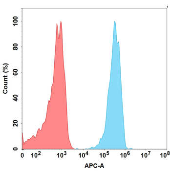 GFRA3 Antibody