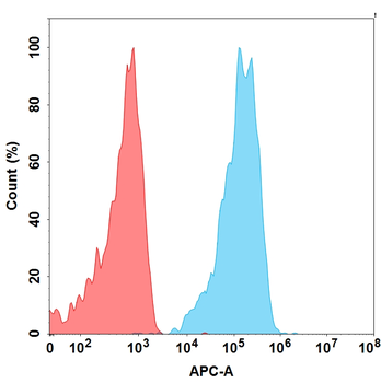 CCR4 Antibody