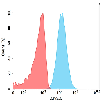 GPC3 Antibody