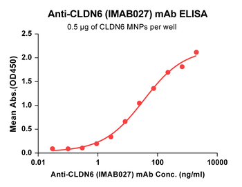 CLDN6 Antibody