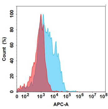 CLDN6 Antibody