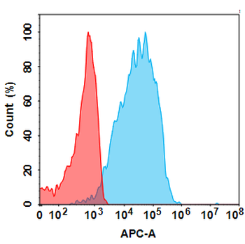 CLEC4C Antibody