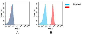 JAM-A Antibody