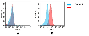 HBEGF Antibody