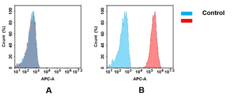 GPA33 Antibody