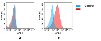 MUC1 Antibody