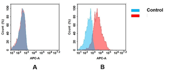 CD23 Antibody