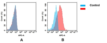 EPHA4 Antibody