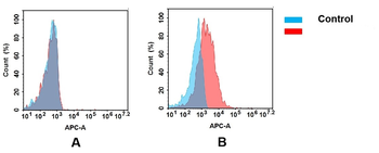 TGFBR2 Antibody