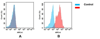 CD142 Antibody