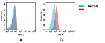 FGFR4 Antibody