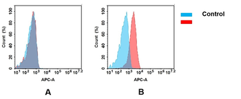 CD117 Antibody