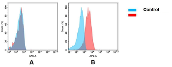 Nectin4 Antibody