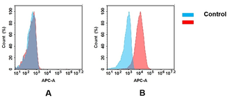 EREG Antibody