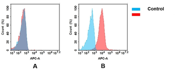 CD2 Antibody