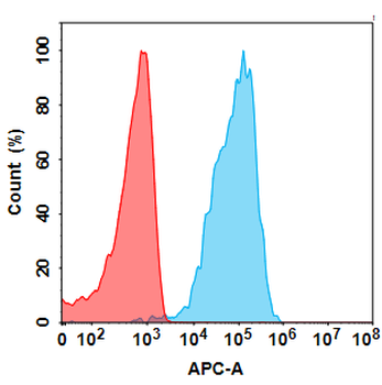 FOLR1 Antibody