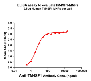 TM4SF1 Antibody