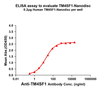 TM4SF1 Antibody