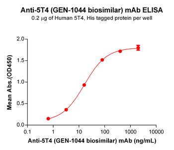 5T4 Antibody