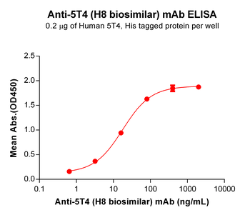 5T4 Antibody