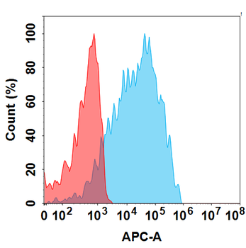 CEACAM5 Antibody