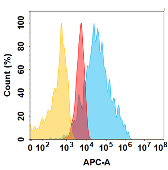 ROR1 Antibody