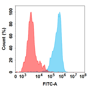 GPRC5D Antibody