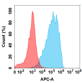 ALPP Antibody