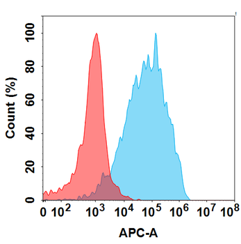 FZD10 Antibody