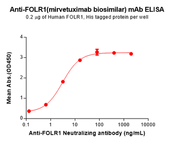 FOLR1 Antibody