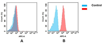 IGF-1R Antibody