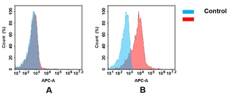 CD3E Antibody