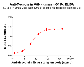 Mesothelin Antibody