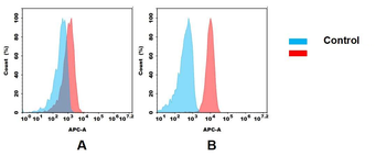 CDH3 Antibody