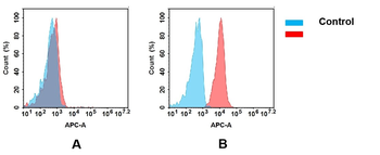 BTN3A2 Antibody