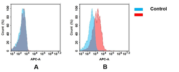 CD79B Antibody (Biotin)