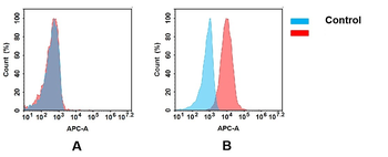 GPC1 Antibody