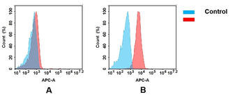 IGF-1R Antibody