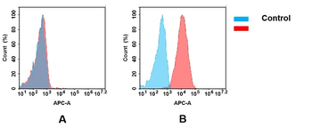 ASGR1 Antibody