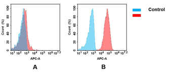 CXCR4 Antibody