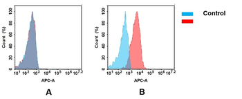 CD74 Antibody