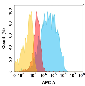 EGFR Antibody