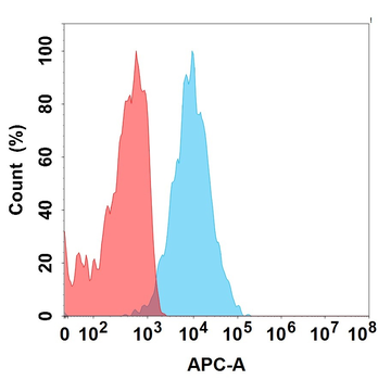 MUC1 Antibody