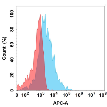 LEPR Antibody